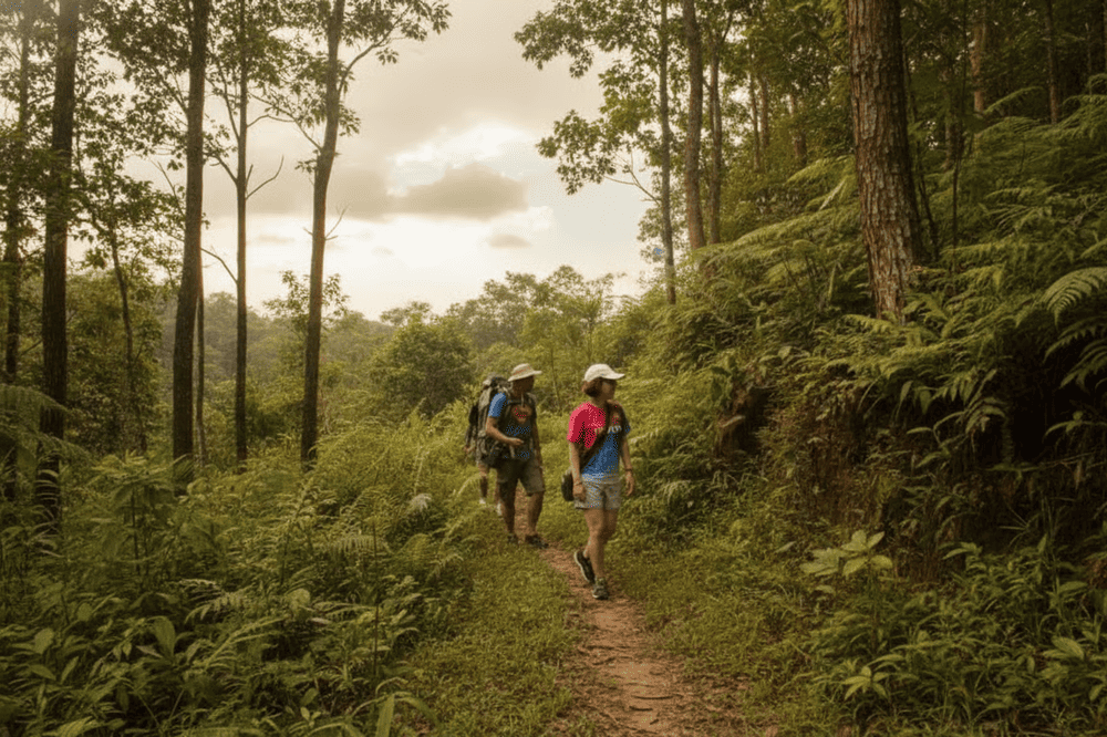 Đền Bà Chúa Thượng Ngàn
Đền Bà Chúa Thượng Ngàn là một địa điểm tâm linh nổi tiếng, thu hút du khách đến hành hương và cầu bình an. Đền tọa lạc trên đỉnh núi cao, giữa không gian thiên nhiên trong lành, mang lại cảm giác thanh tịnh và linh thiêng. Để đến được đền, du khách cần leo qua hàng trăm bậc thang, nhưng đổi lại là cảnh sắc tuyệt đẹp cùng không gian tâm linh đầy huyền bí.